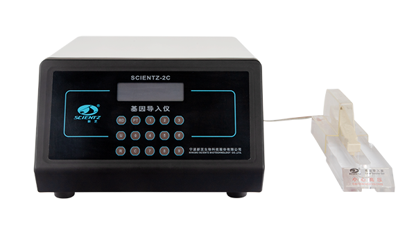 基因?qū)雰x 基因?qū)雰x