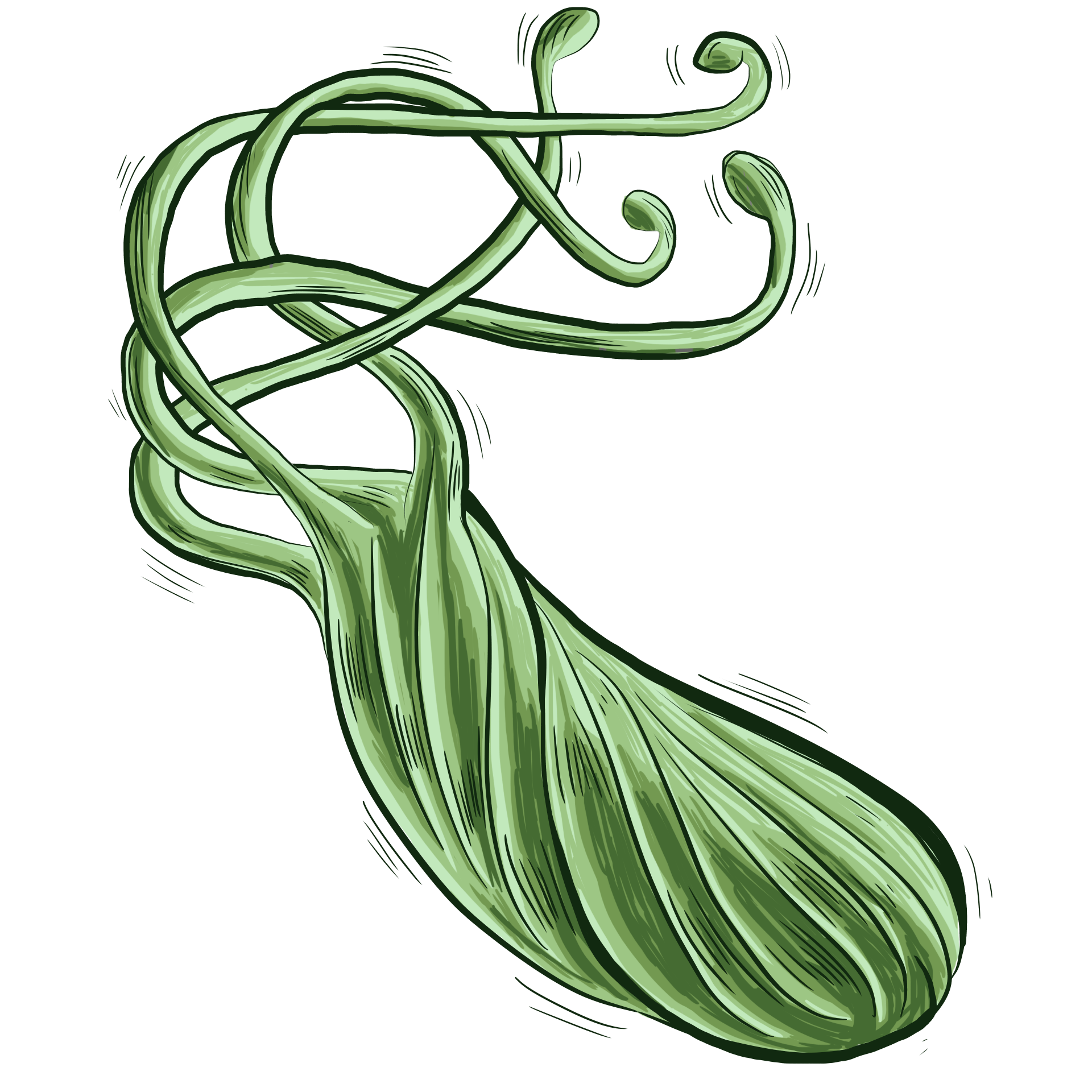 幽門螺桿菌 幽門螺桿菌