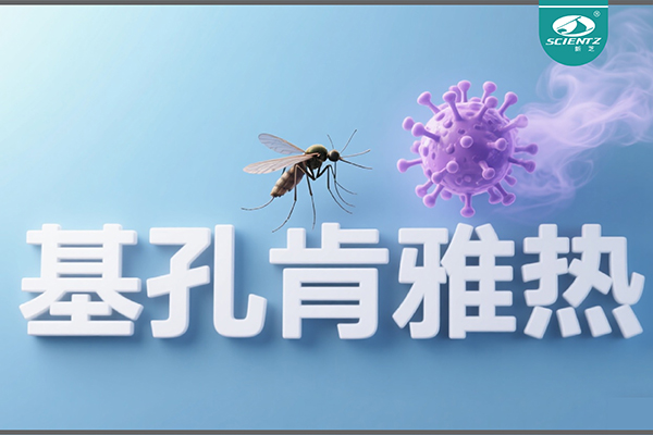 基孔肯雅熱疫情升級！新芝生物硬核技術助力病毒精準診斷