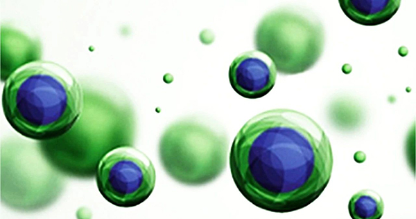 微信圖片_20250811104945