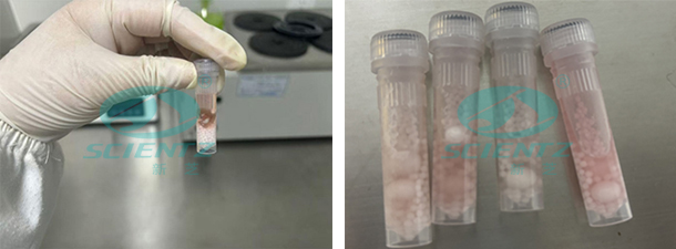 undefined 實(shí)驗(yàn)前后對(duì)比圖