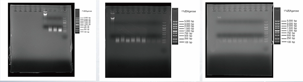 微信圖片_20251215131832