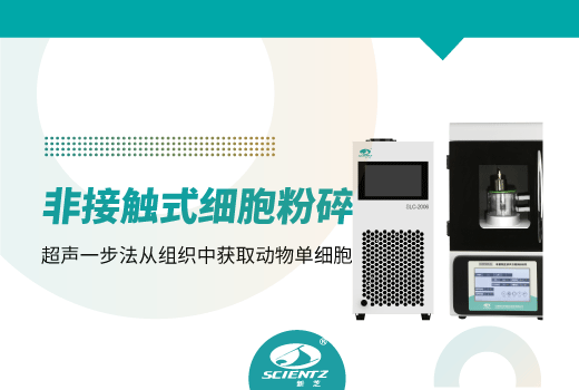 超聲波細(xì)胞破碎儀獲得動物組織樣品單細(xì)胞電鏡檢測